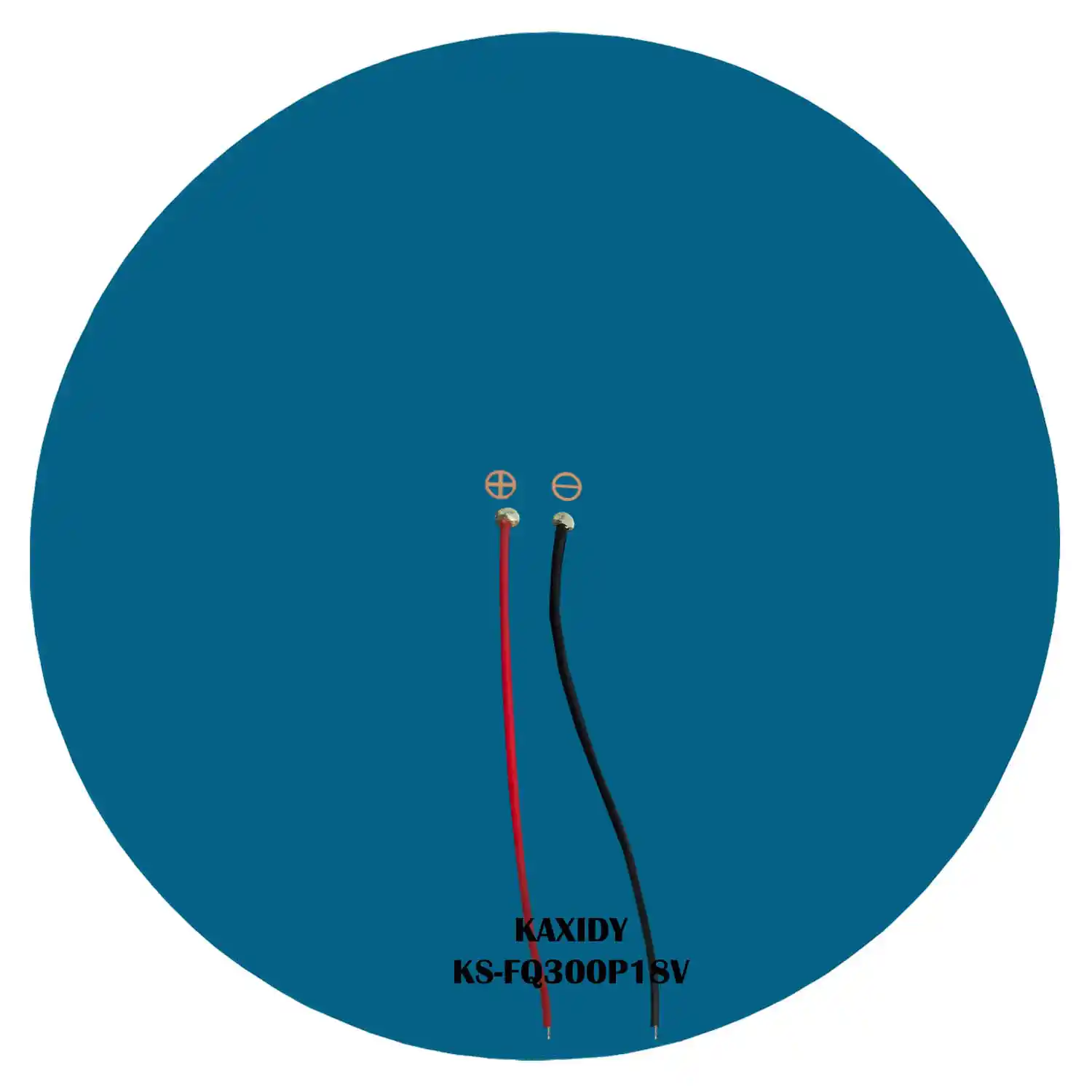 10W Circular Solar Panel